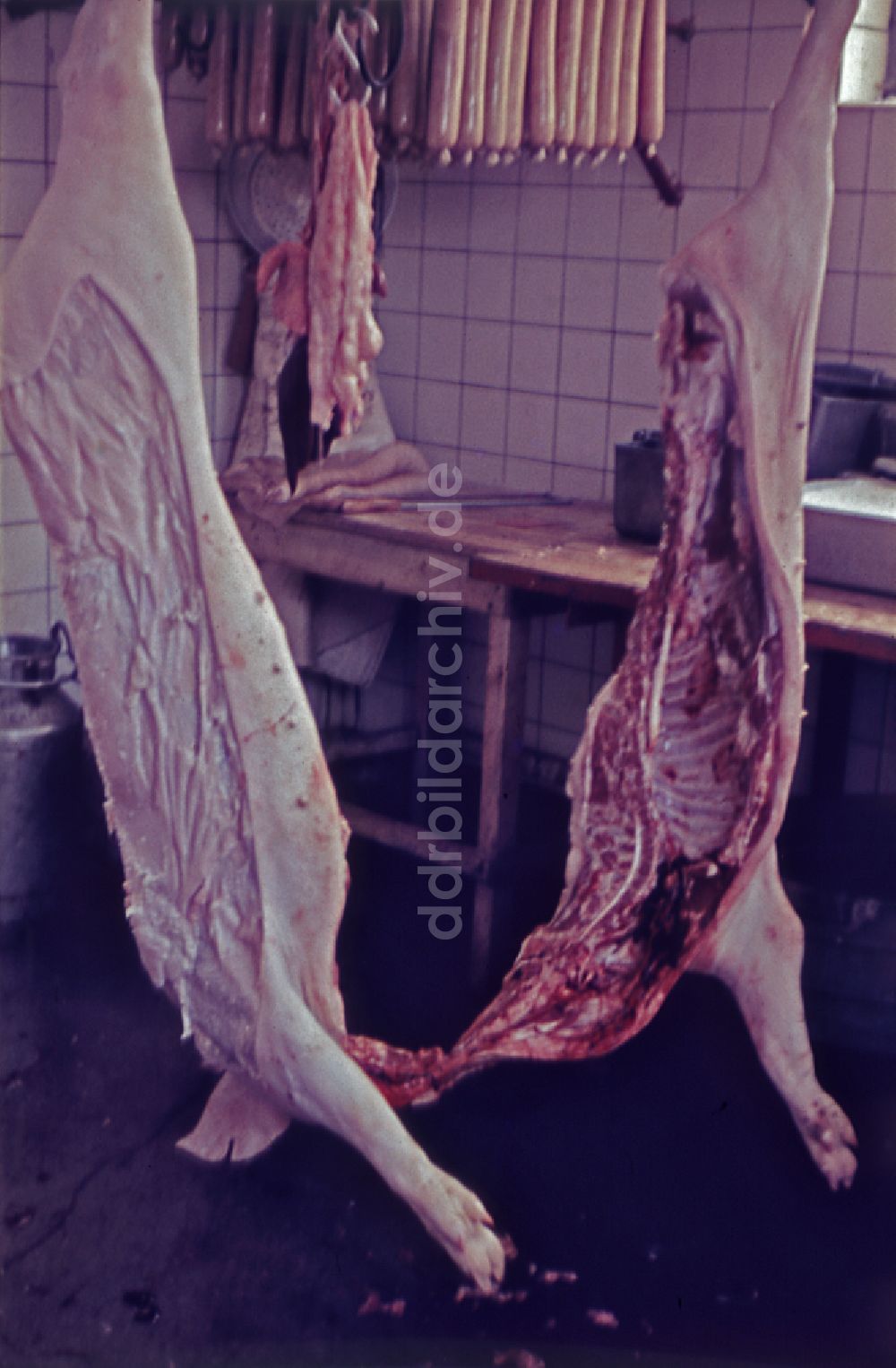 DDR-Fotoarchiv: Stechlin - Schlachtung in Stechlin in der DDR