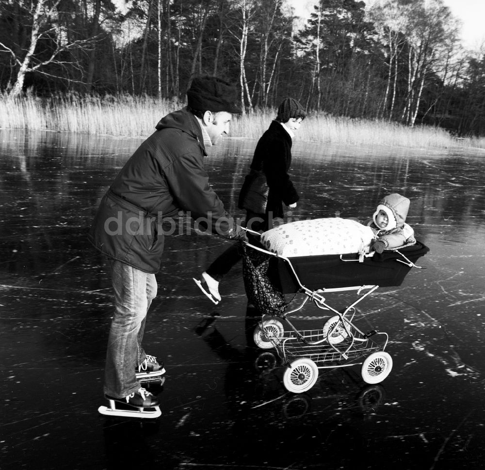 DDR-Bildarchiv: Zossen - Schlittschuhlaufen mit Kinderwagen auf dem zugefrorenen Motzener See in Zossen in Brandenburg in der DDR