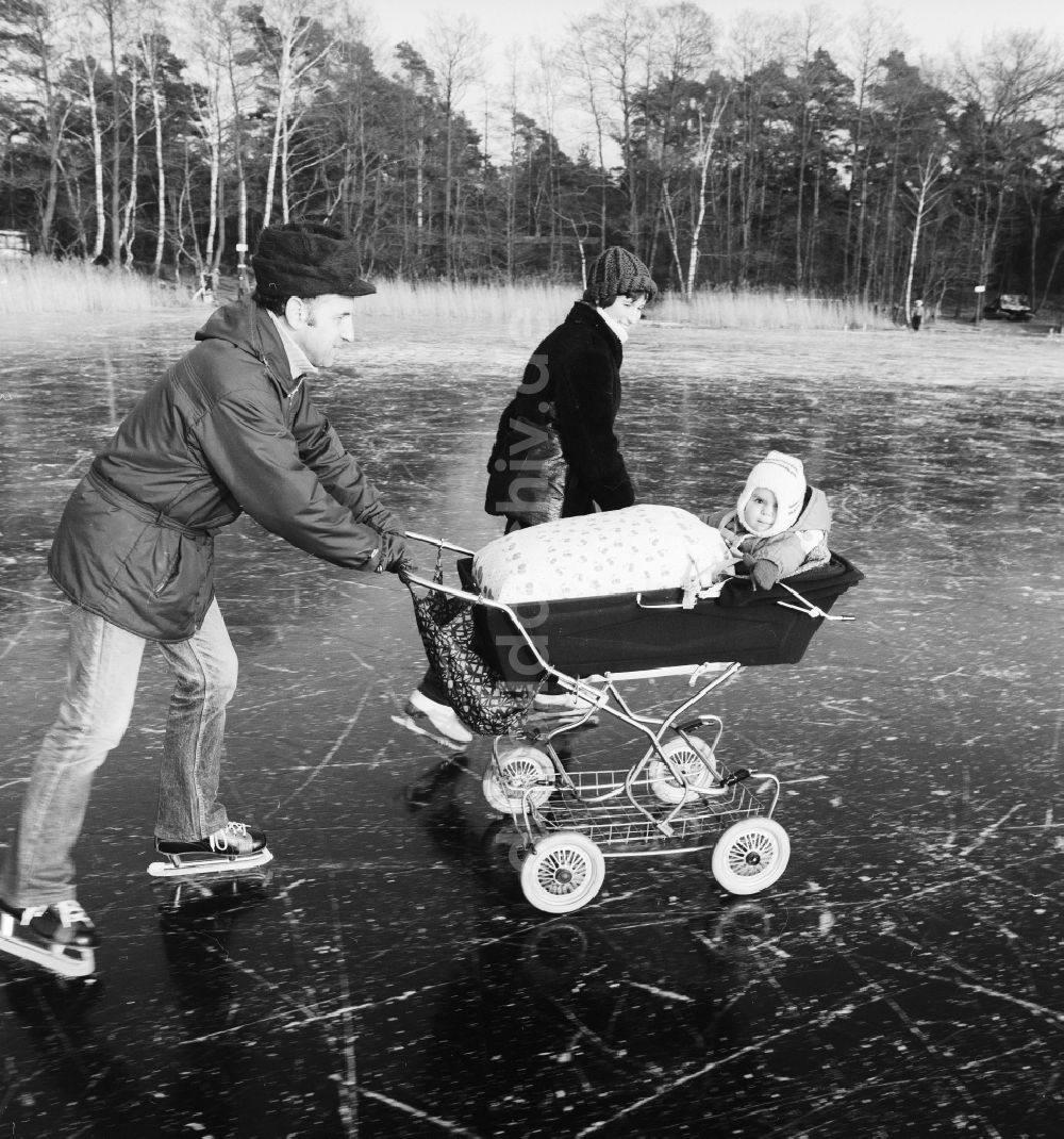 DDR-Fotoarchiv: Zossen - Schlittschuhlaufen mit Kinderwagen auf dem zugefrorenen Motzener See in Zossen in Brandenburg in der DDR