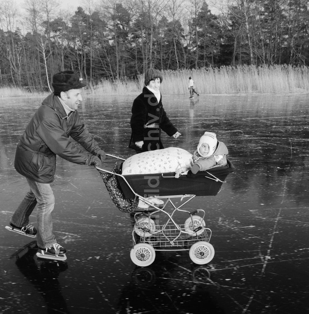 Zossen: Schlittschuhlaufen mit Kinderwagen auf dem zugefrorenen Motzener See in Zossen in Brandenburg in der DDR