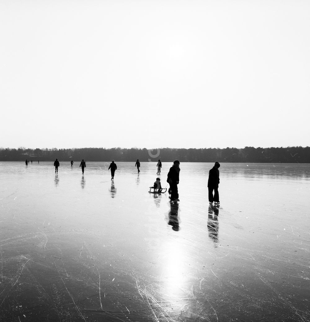 DDR-Fotoarchiv: Zossen - Schlittschuhlaufen auf dem zugefrorenen Motzener See in Zossen in Brandenburg in der DDR