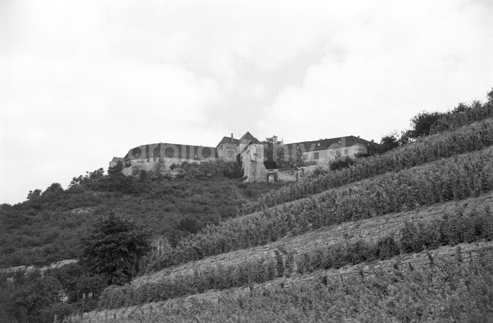 Freyburg: Schloss Neuenburg 1956