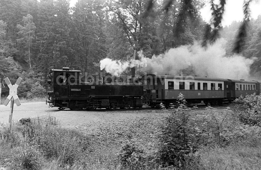 DDR-Fotoarchiv: Silberhütte - Selketalbahn Silberhütte