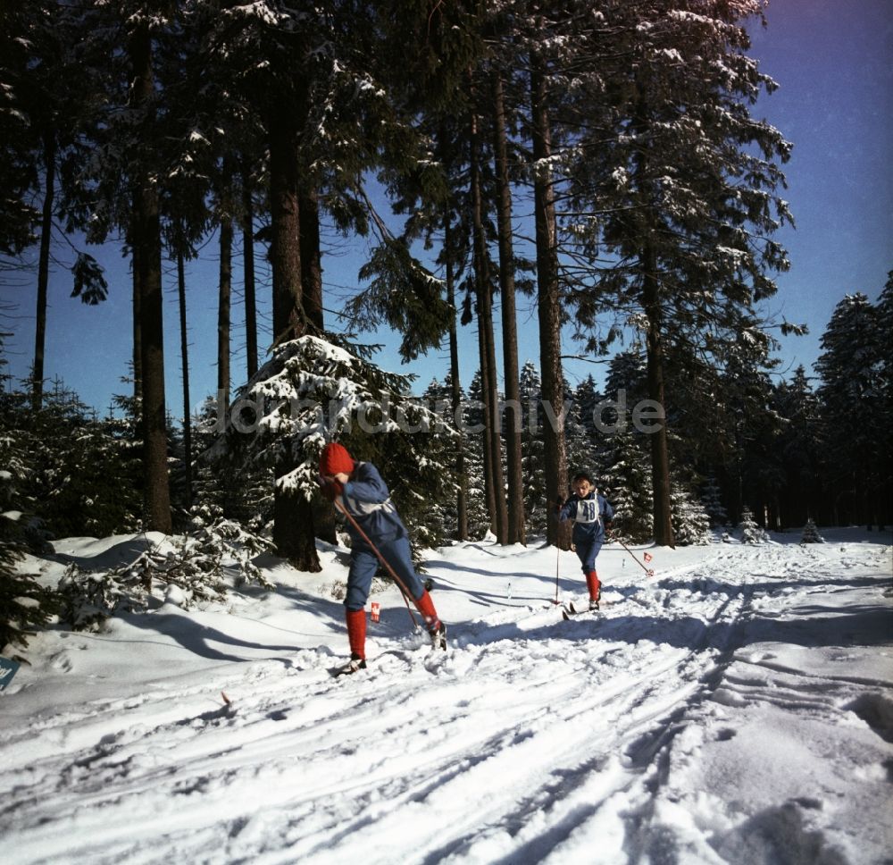 DDR-Fotoarchiv: Oberhof - Skilanglauf-Training in Oberhof, Thüringen