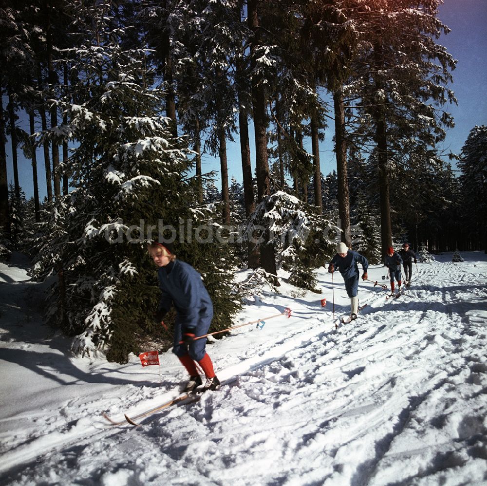 Oberhof: Skilanglauf-Training in Oberhof, Thüringen