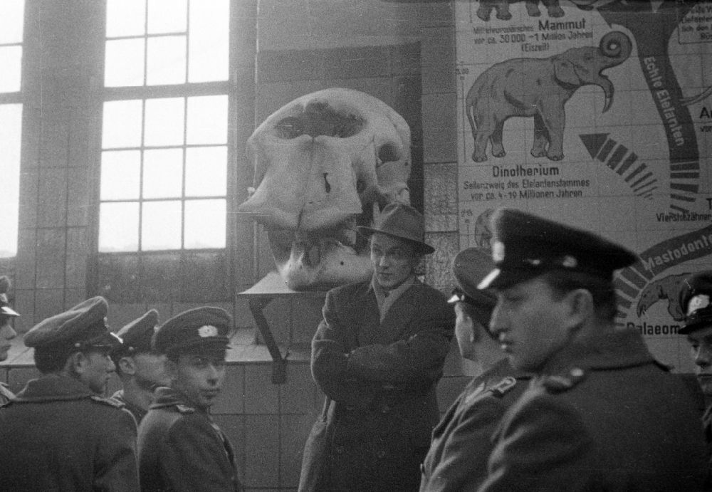 DDR-Fotoarchiv: Dresden - Soldat in der Uniform der KVP Kasernierte Volkspolizei bei einem Besuch im Dresdner Zoo in Dresden in der DDR