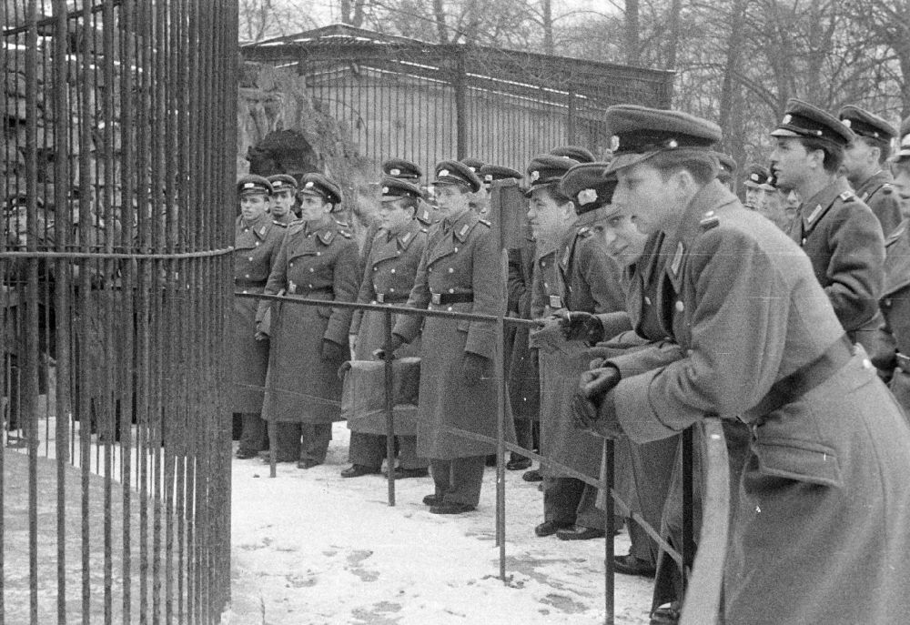 Dresden: Soldat in der Uniform der KVP Kasernierte Volkspolizei bei einem Besuch im Dresdner Zoo in Dresden in der DDR