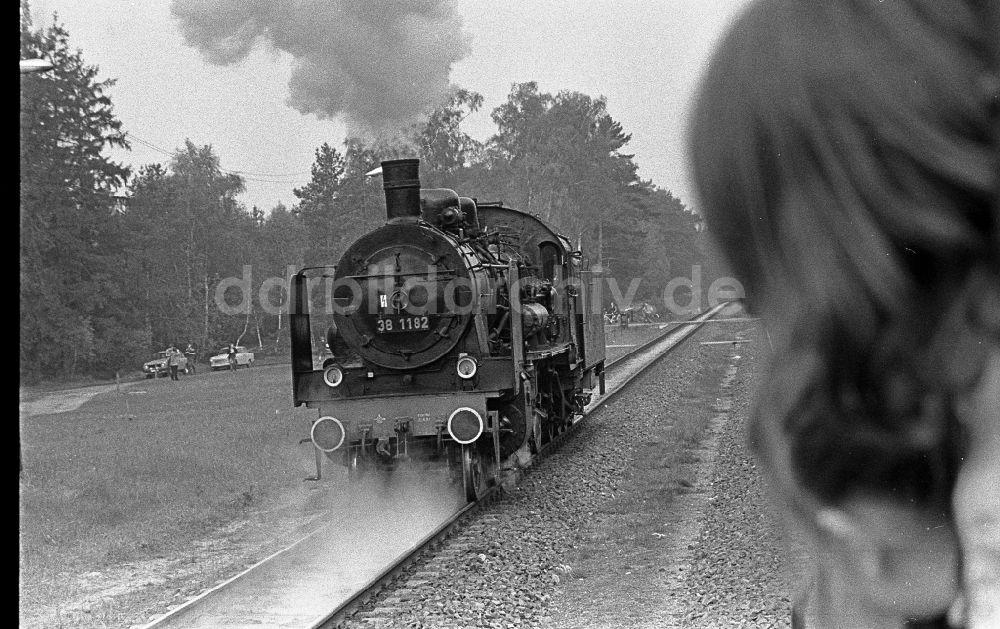 DDR-Fotoarchiv: Fürstenberg/Havel - Sonderfahrt des Traditionszuges Dampflokomotive der Deutschen Reichsbahn der Baureihe in Fürstenberg / Havel in Brandenburg in der DDR