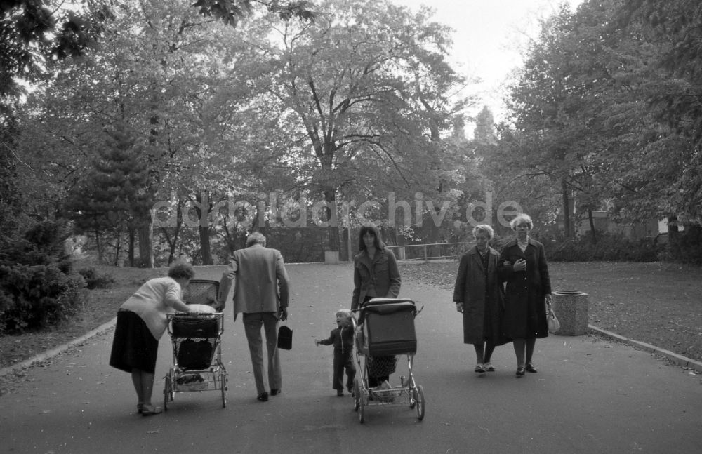 Berlin: Spaziergänger im Stadtpark Lichtenberg Parkaue in Berlin auf dem Gebiet der ehemaligen DDR, Deutsche Demokratische Republik