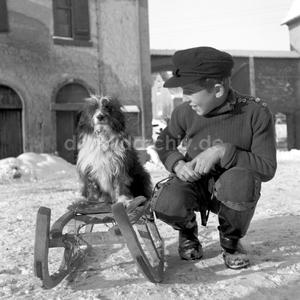 DDR-Fotoarchiv: Fienstedt - Spiel eines kleinen Jungen mit Hund auf dem Schlitten eines winterlich verschneiten Hofes in Fienstedt in der DDR
