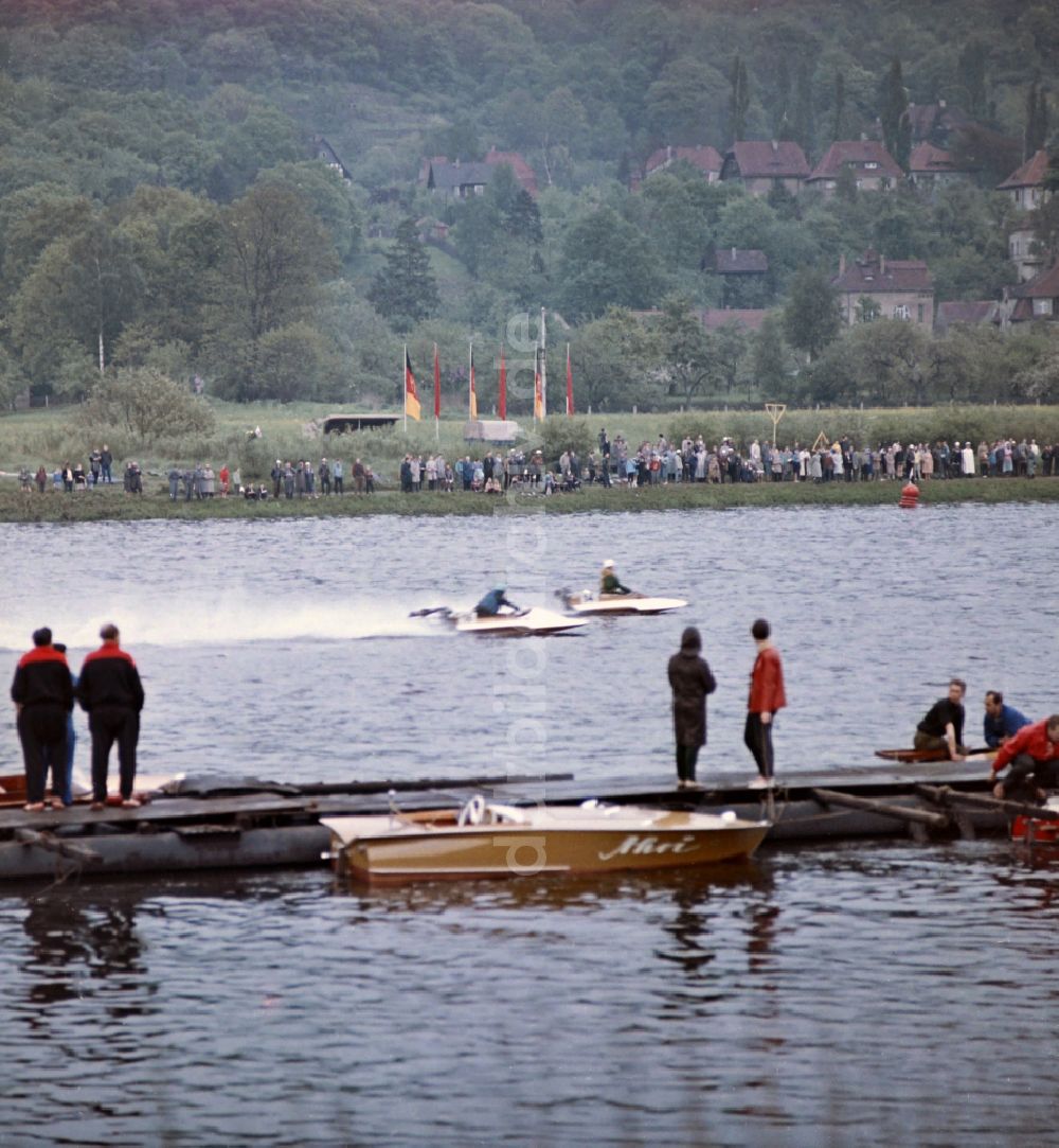 DDR-Bildarchiv: Dresden - Sportboot in Fahrt auf der Elbe während eines Motorbootrennens in Dresden in Sachsen in der DDR