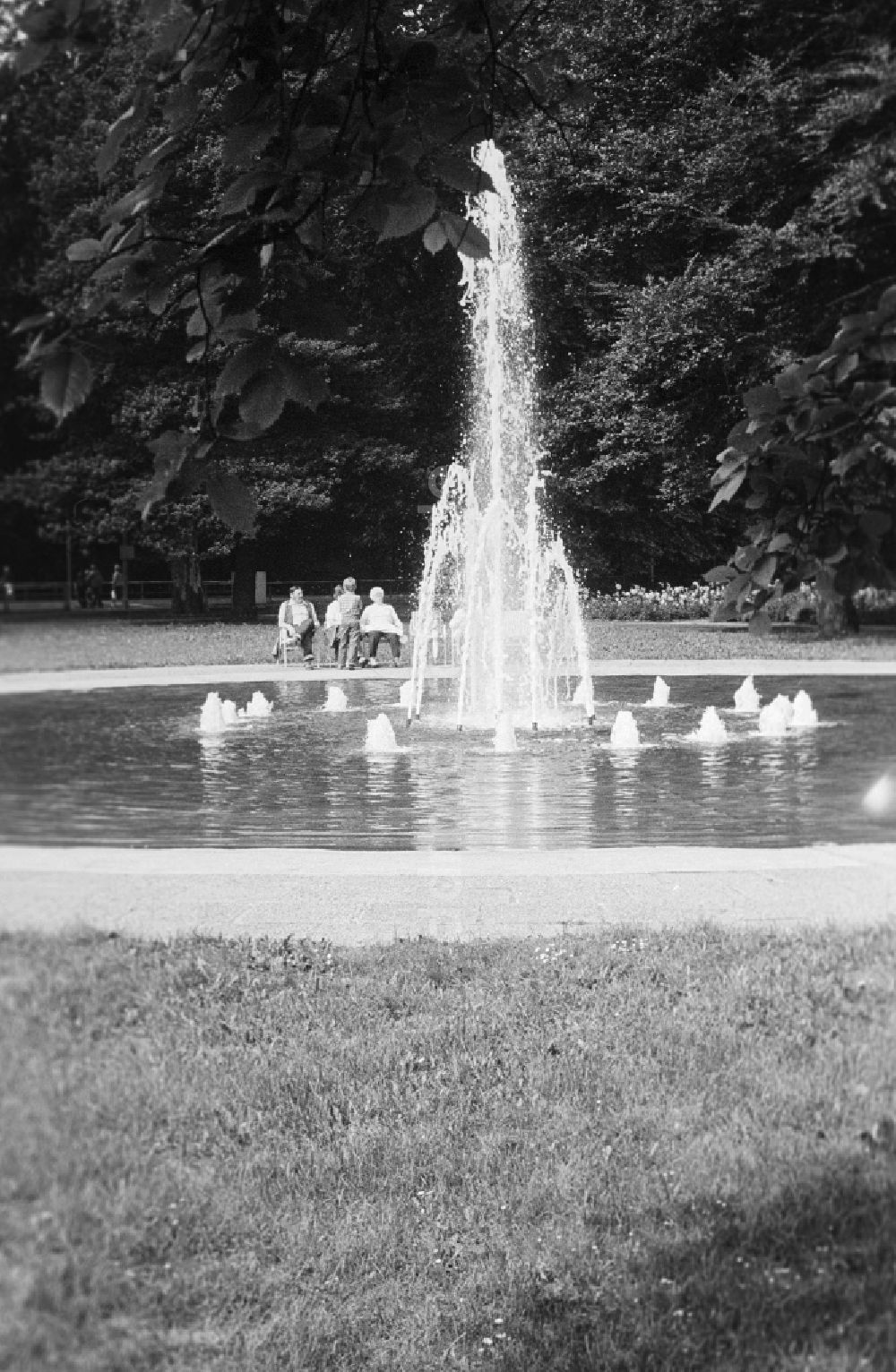 DDR-Bildarchiv: Berlin - Springbrunnen im Rosengarten am Treptower Park in Berlin, der ehemaligen Hauptstadt der DDR, Deutsche Demokratische Republik