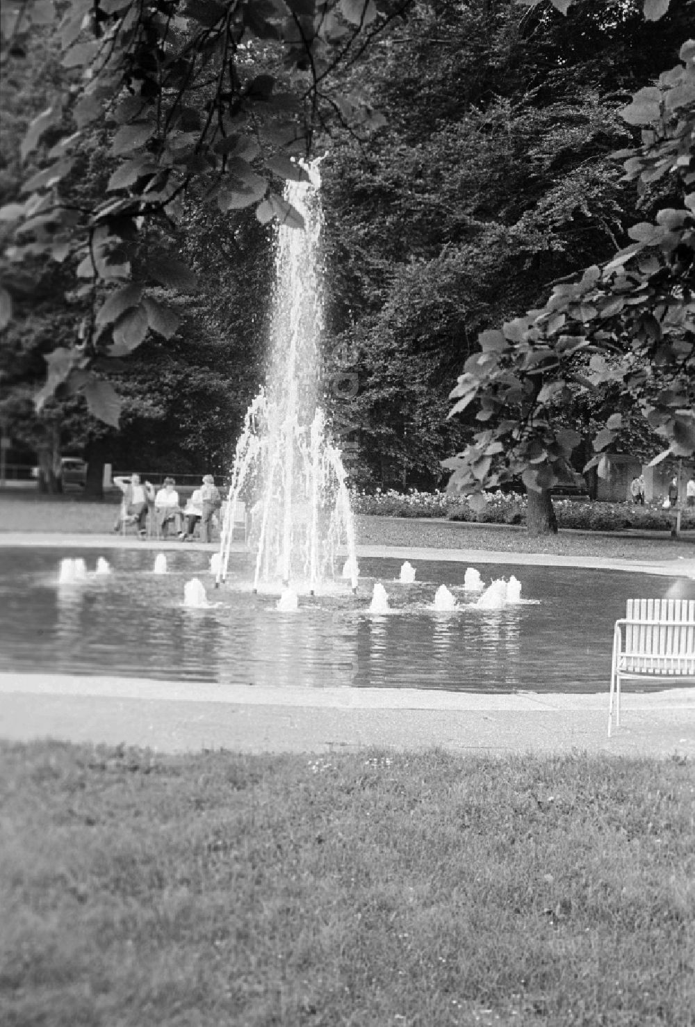 DDR-Fotoarchiv: Berlin - Springbrunnen im Rosengarten am Treptower Park in Berlin, der ehemaligen Hauptstadt der DDR, Deutsche Demokratische Republik