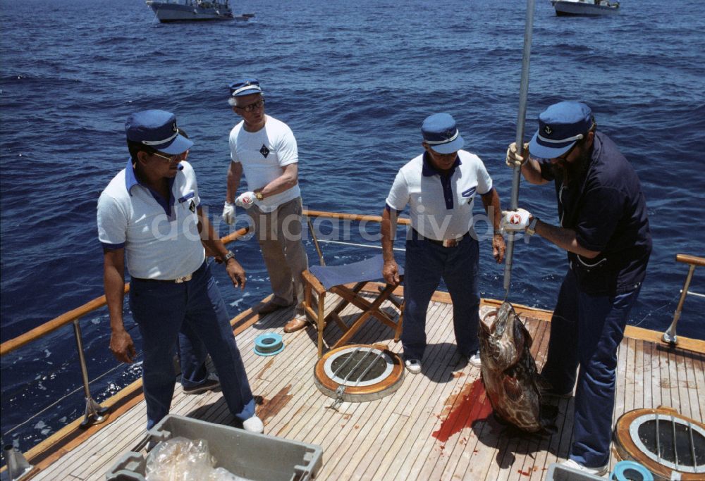 Havanna: Staatsratsvorsitzender Erich Honecker und Fidel Alejandro Castro Ruz beim Angeln und Fischen in Havanna in Kuba