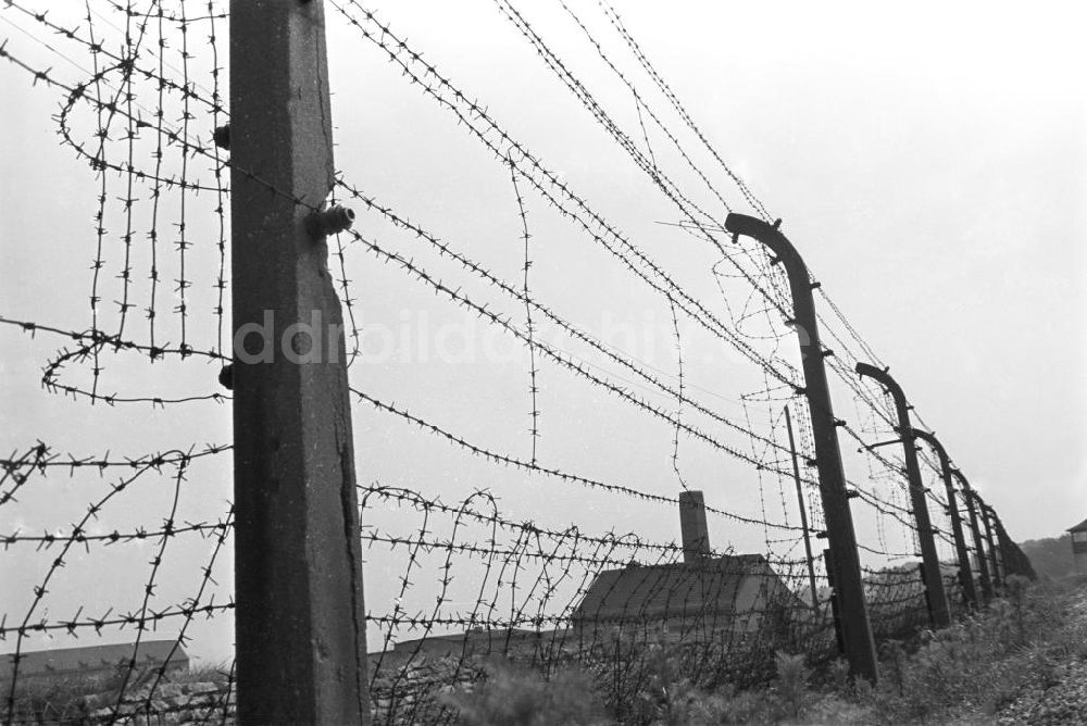 Buchenwald: Stacheldrahtzaun und Krematorium, Buchenwald, 1961