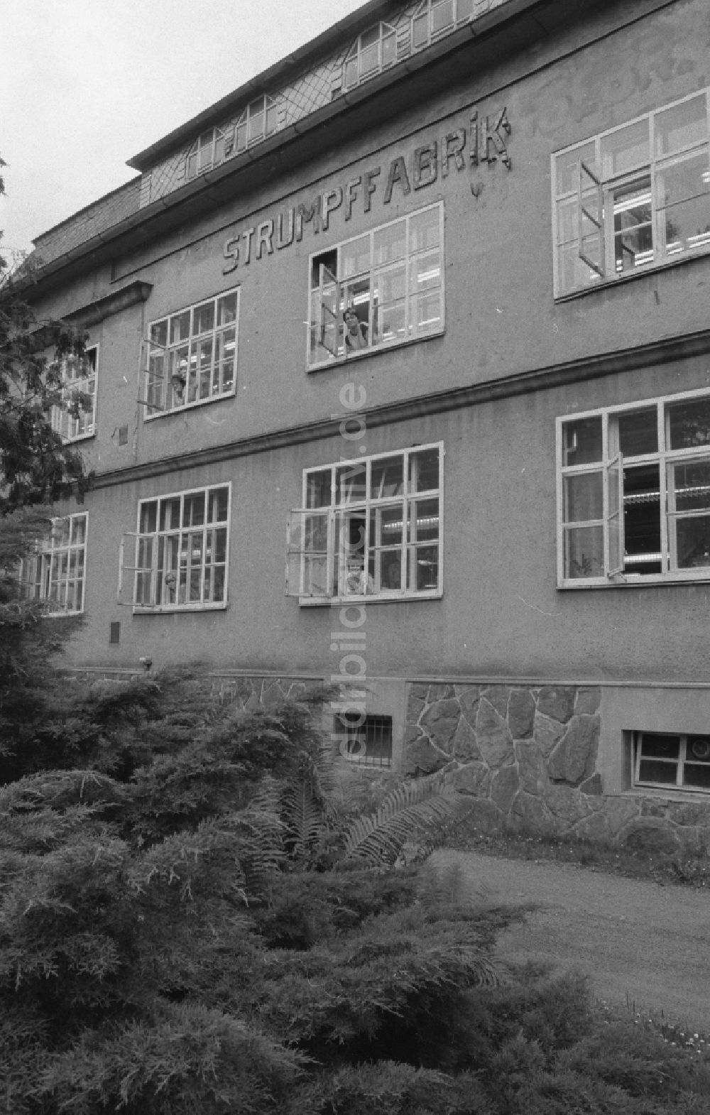 DDR-Fotoarchiv: Thalheim - Strumpffabrik ESDA in Thalheim in Sachsen in der DDR