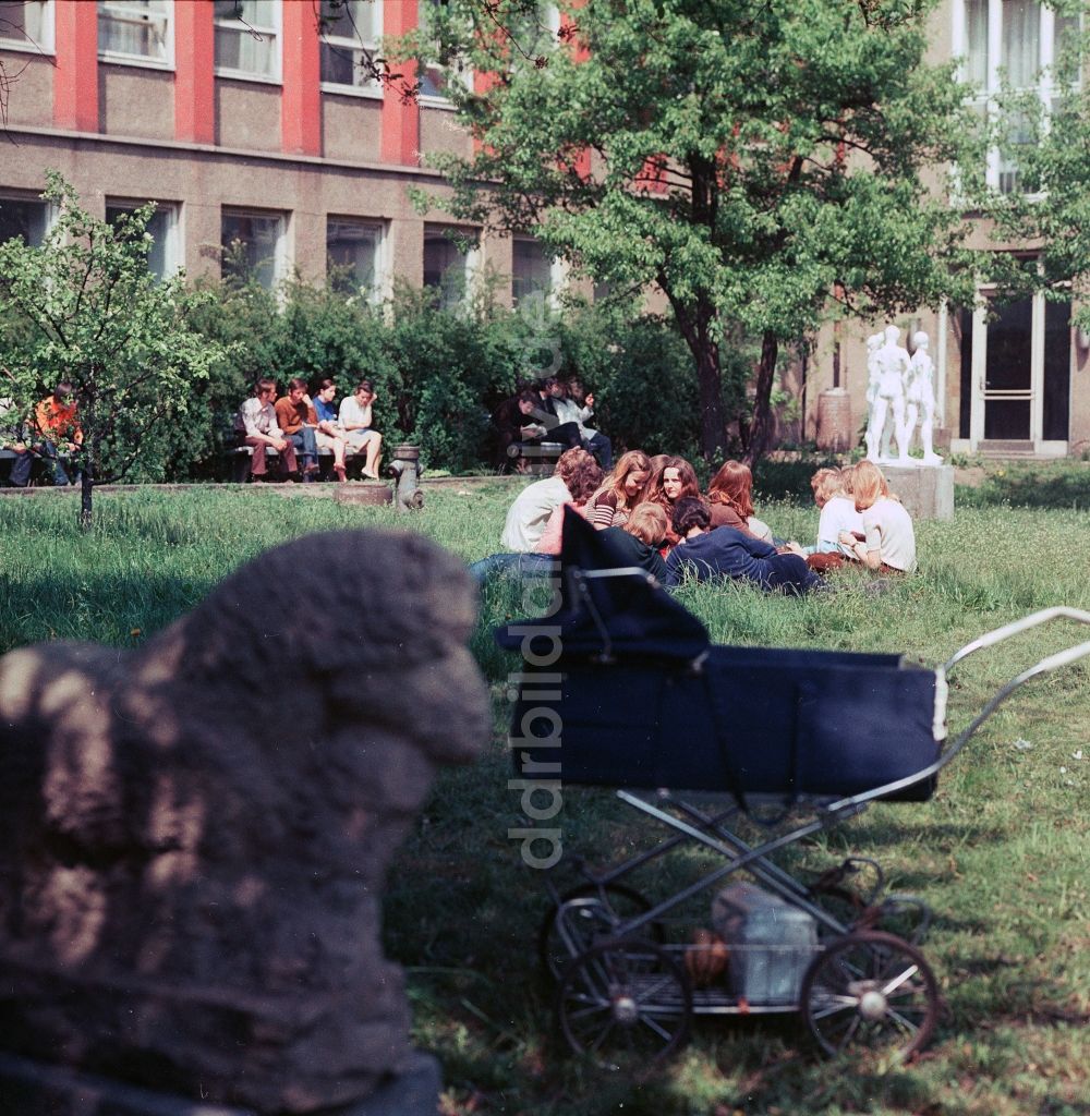 DDR-Fotoarchiv: Berlin - Studenten der Kunsthochschule Berlin Weißensee liegen im Innenhof auf der Wiese und geniessen die Sonne in Berlin, der ehemaligen Hauptstadt der DDR, Deutsche Demokratische Republik