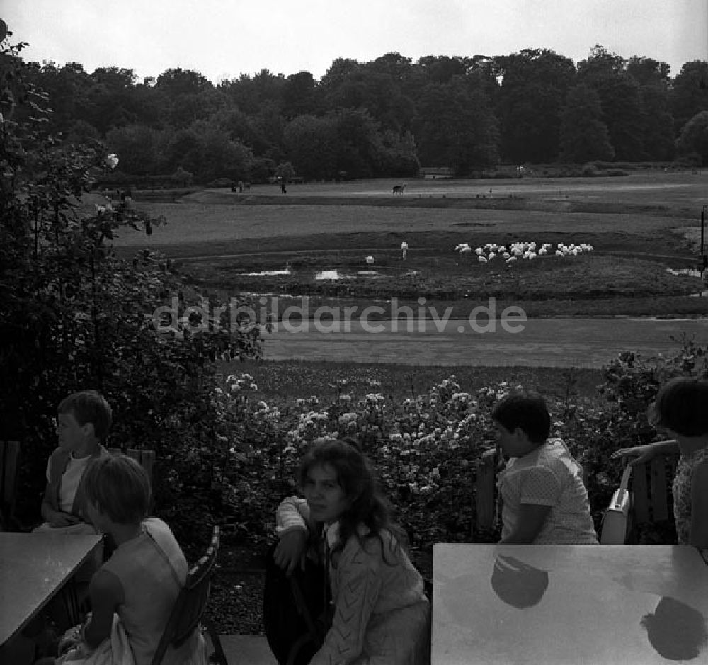 DDR-Bildarchiv: Berlin - Tierpark Berlin