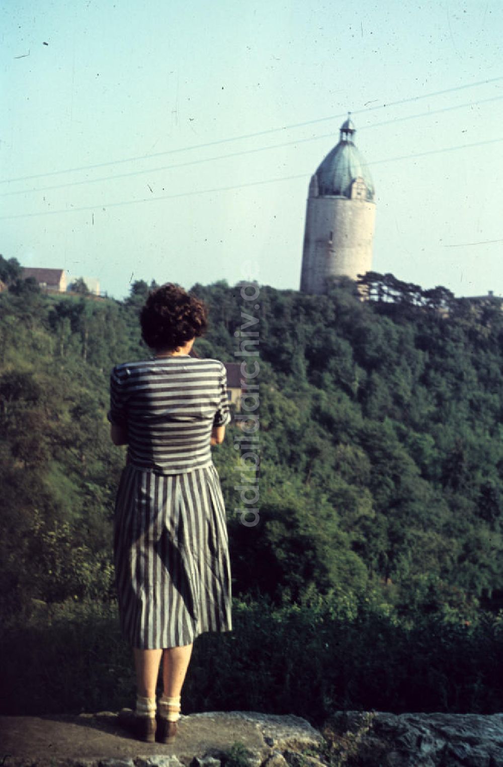 Freyburg (Unstrut): Turm / tower Bergfried Dicker Wilhelm in Freyburg (Unstrut)