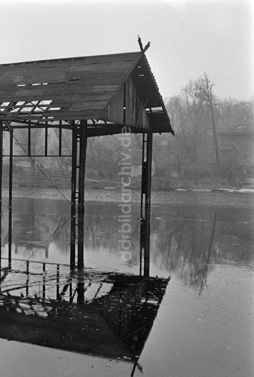 DDR-Fotoarchiv: Potsdam - Uferbereich des Sees Griebnitzsee im Ortsteil Babelsberg in Potsdam in Brandenburg in der DDR