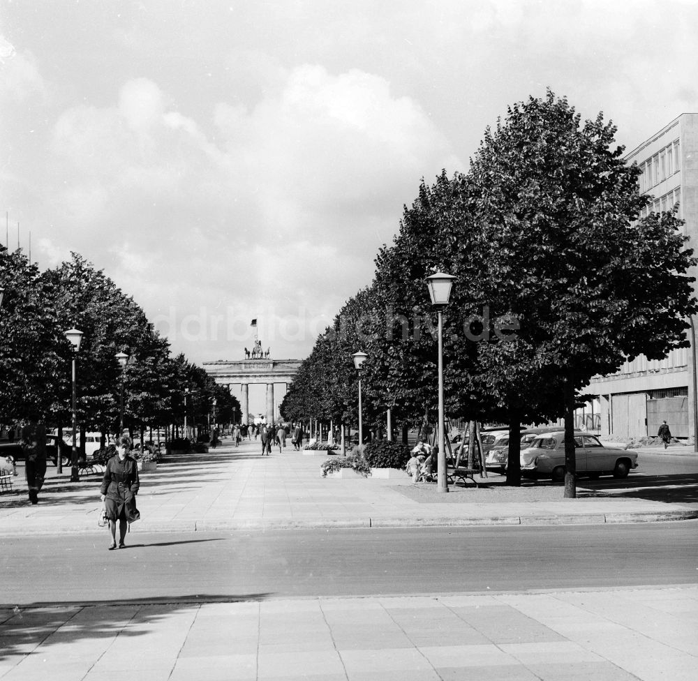 Berlin: Unter den Linden mit Blick auf das Brandenburger Tor in Berlin, der ehemaligen Hauptstadt der DDR, Deutsche Demokratische Republik