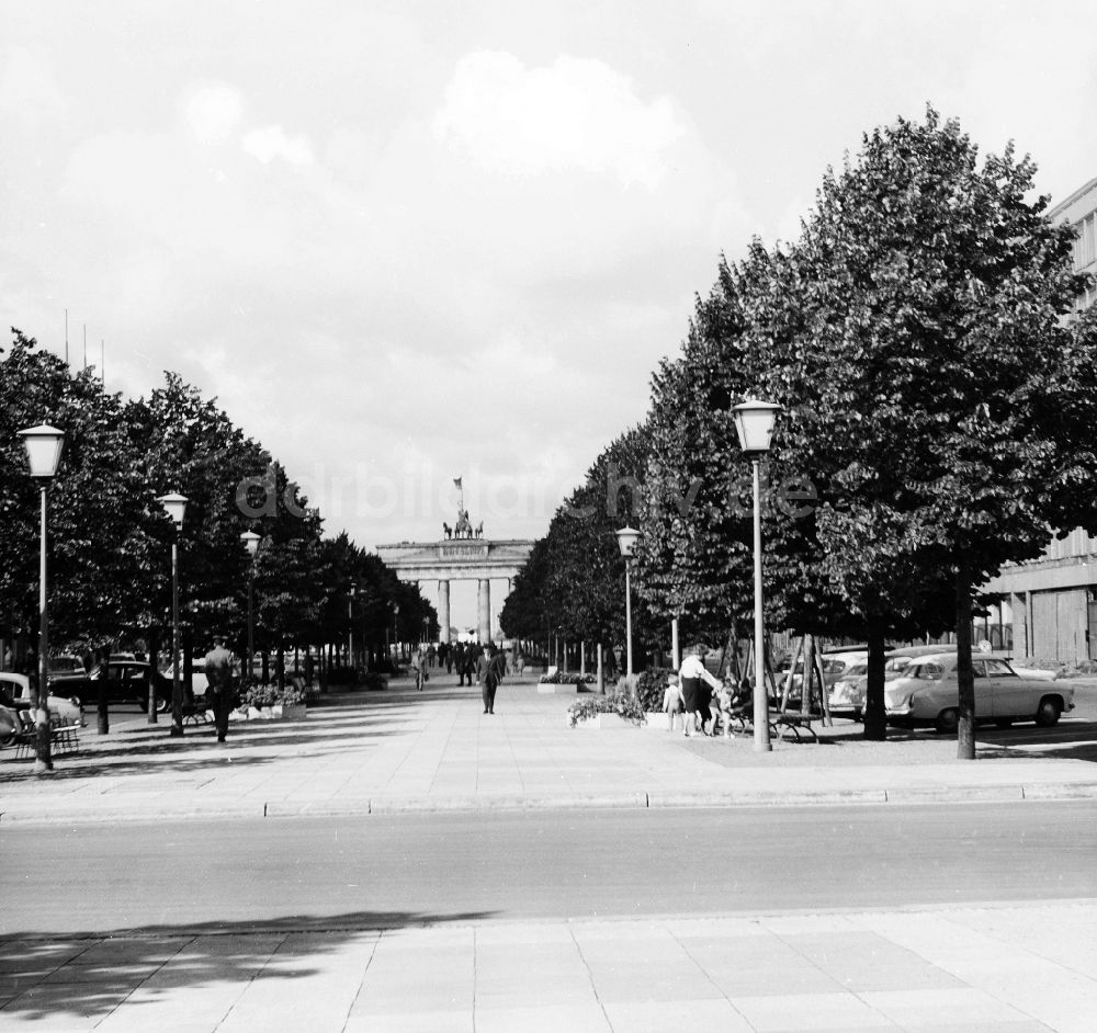 DDR-Bildarchiv: Berlin - Unter den Linden mit Blick auf das Brandenburger Tor in Berlin, der ehemaligen Hauptstadt der DDR, Deutsche Demokratische Republik