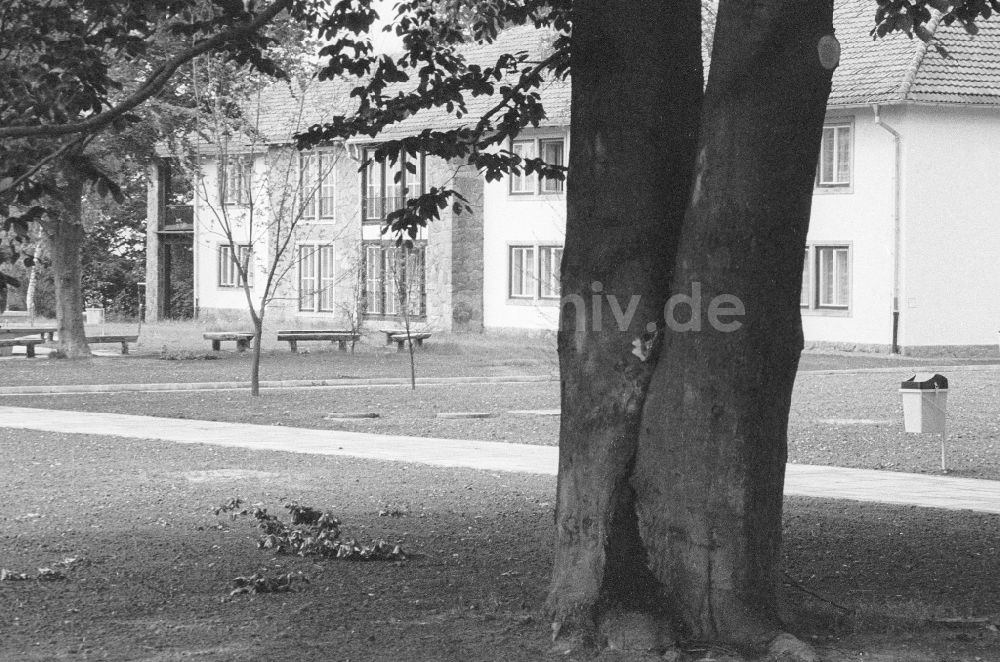 DDR-Bildarchiv: Joachimsthal - Unterkunftshaus auf dem Gelände der Pionierrepublik Wilhelm Pieck am Werbellinsee in Joachimsthal in Brandenburg in der DDR