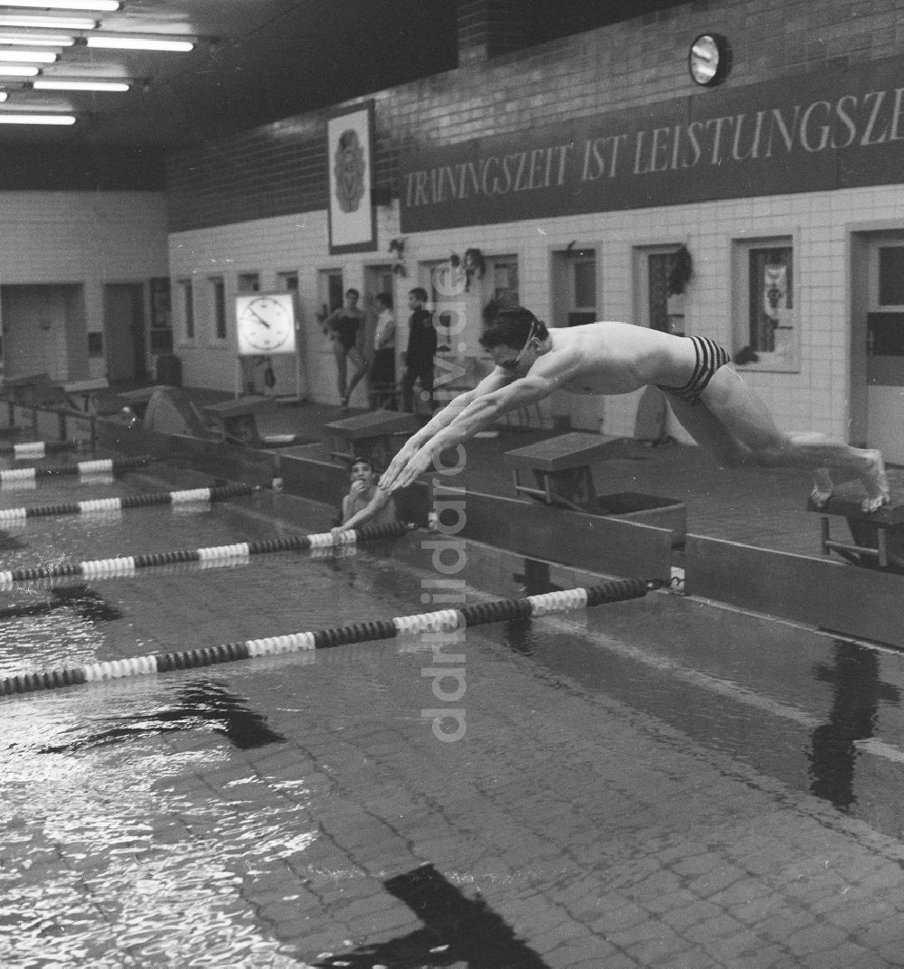 DDR-Fotoarchiv: Potsdam - Uwe Daßler, deutscher Leistungsschwimmer beim ASK Potsdam, in Potsdam in Brandenburg in der DDR