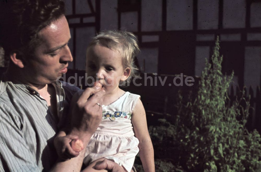 DDR-Fotoarchiv: Siegen - Vater mit Kind im Garten in Siegen 1939