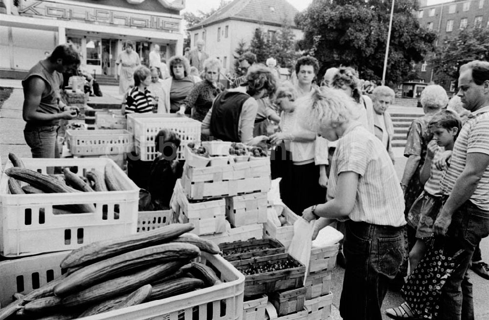 DDR-Fotoarchiv: Werder - Verkauf von Obst und Gemüse auf den Straßen von Werder 09.07.90 Foto: Winkler Umschlagnummer: 918