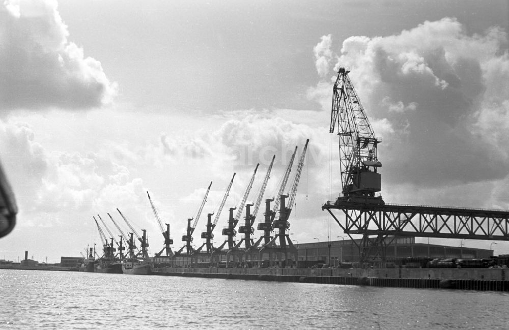 DDR-Bildarchiv: Rostock - Verladekräne im Überseehafen Rostock in Mecklenburg - Vorpommern