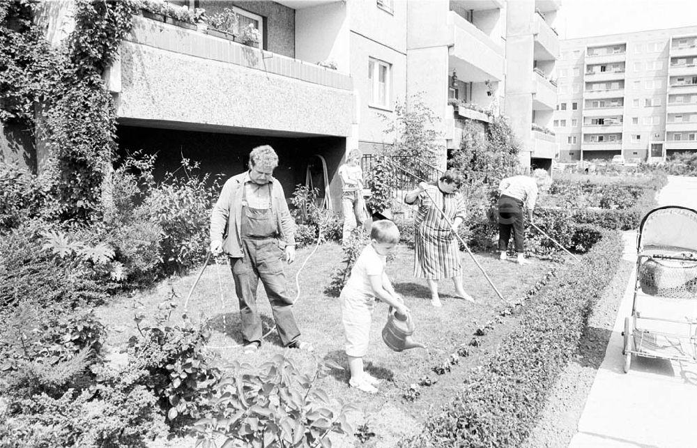 DDR-Fotoarchiv: Berlin - Vorgartenpflege im Haus Grumsiner Straße 16-20 in Berlin-Marzahn 23.07.1989