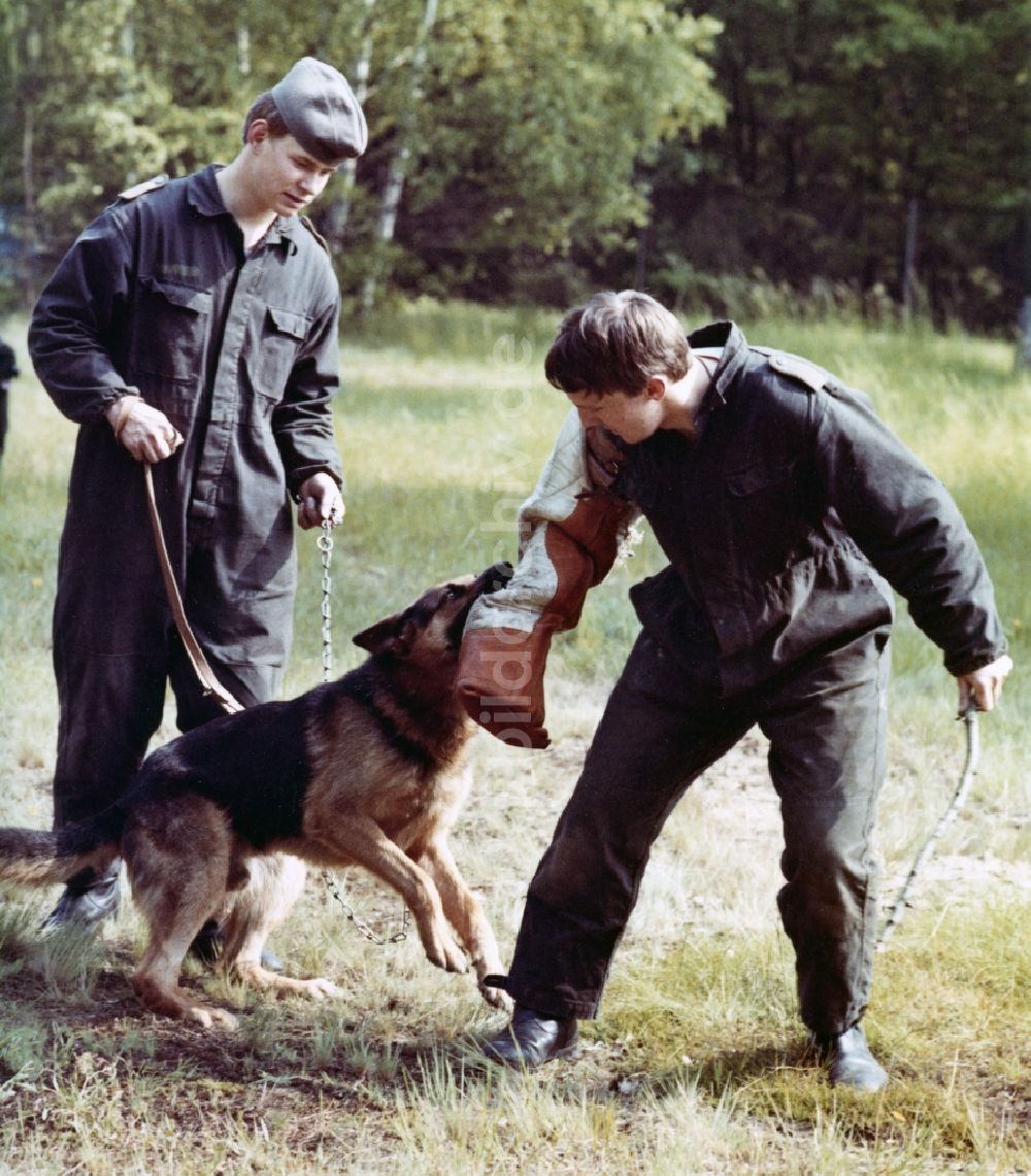 Abbenrode: Wachhundeausbildung durch Soldaten der Grenztruppen der DDR