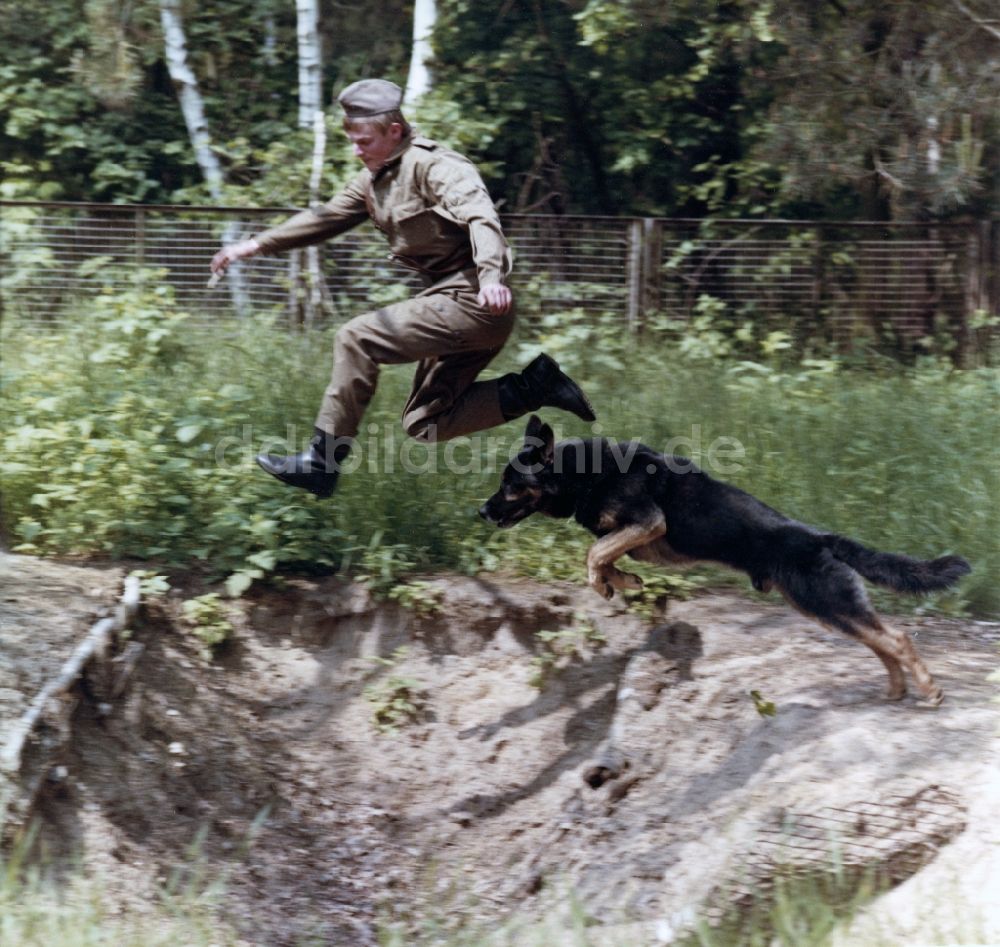 DDR-Fotoarchiv: Abbenrode - Wachhundeausbildung durch Soldaten der Grenztruppen der DDR
