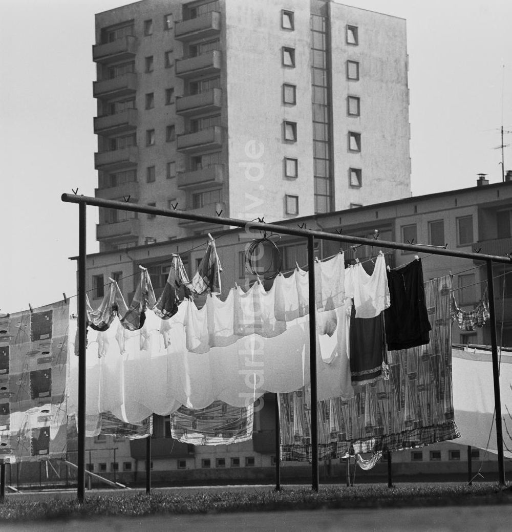 Berlin: Wäsche hängt auf Leine in Berlin