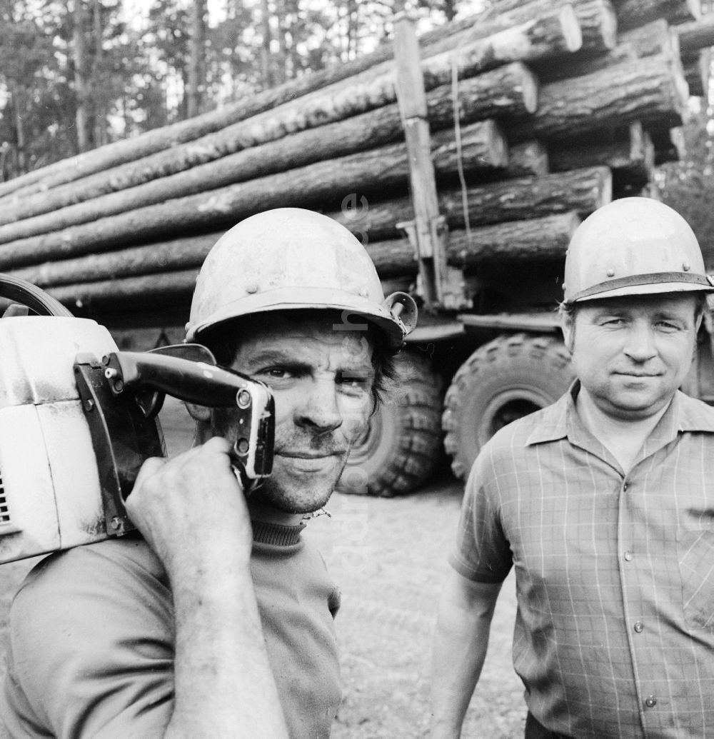 DDR-Fotoarchiv: Grünheide (Mark) - Wald- und Forstarbeiter beim roden von Kiefern im Wald in Grünheide (Mark)im heutigen Bundesland Brandenburg