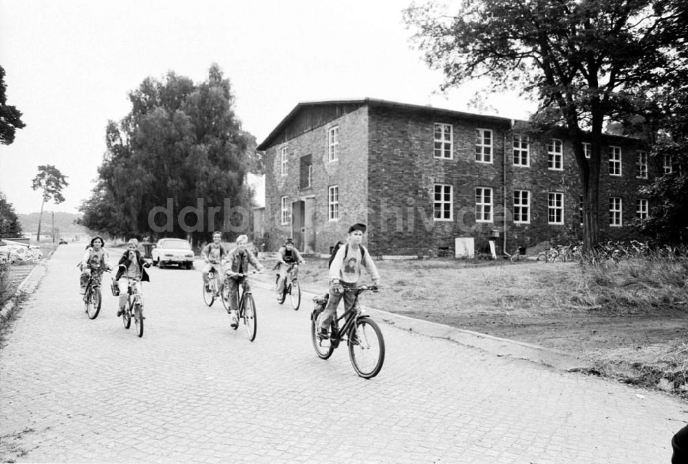 DDR-Bildarchiv: - Waldschule in Groß Glienicke Umschlagnummer: 7726