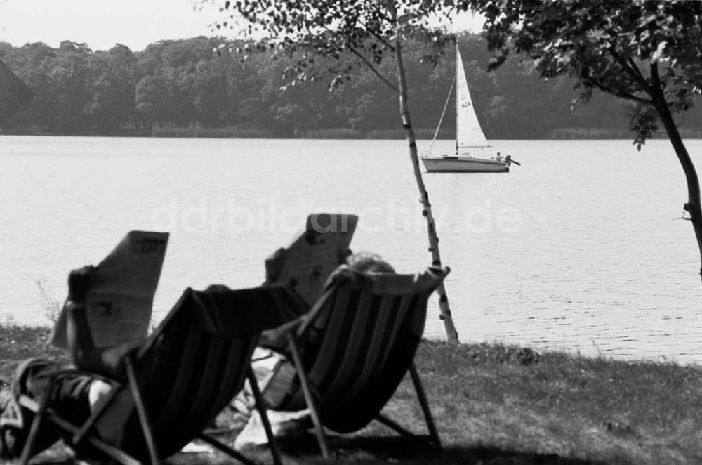 DDR-Fotoarchiv: Potsdam - Wandergebiet am Templiner See, Potsdam 10.09.92 Foto:ND/ Lange Umschlag 1141