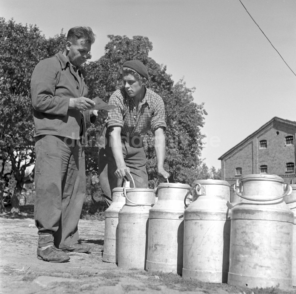 DDR-Fotoarchiv: Fienstedt - Warenanlieferung von Trinkmilch in Milchkannen aus Aluminium von einem LKW Lastkraftwagwen in Fienstedt in Sachsen-Anhalt auf dem Gebiet der ehemaligen DDR