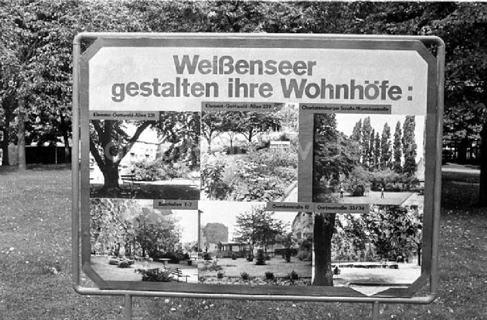 DDR-Fotoarchiv: Berlin Weissensee - Weissenseer Blumenfest Berlin Weissensee Umschlagnr.: 997 Foto: Bonitz