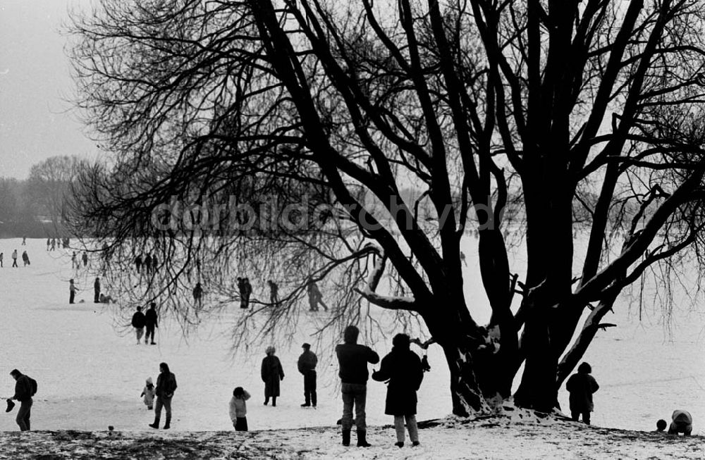Berlin: Winter in Berlin (Archivkästen) Foto: Murza Umschlag:160