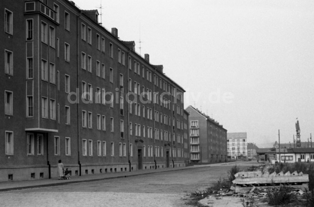 DDR-Bildarchiv: Dresden - Wohnbauten an der Müller-Berset-Straße im Stadtteil Striesen in Dresden in Sachsen in der DDR