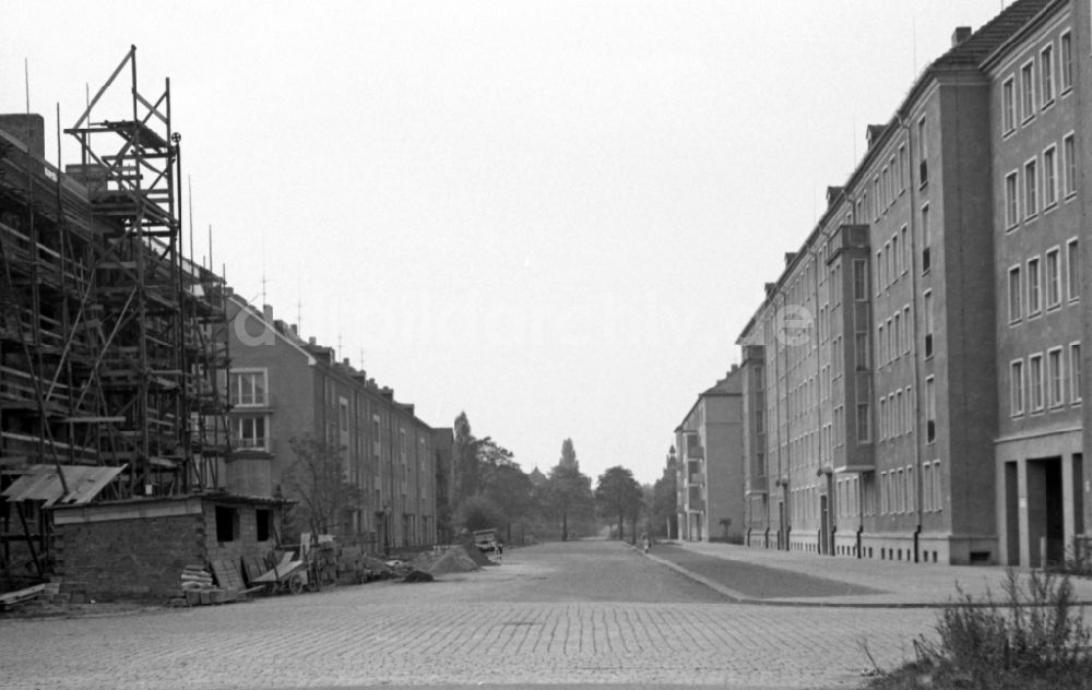 DDR-Fotoarchiv: Dresden - Wohnbauten an der Müller-Berset-Straße im Stadtteil Striesen in Dresden in Sachsen in der DDR