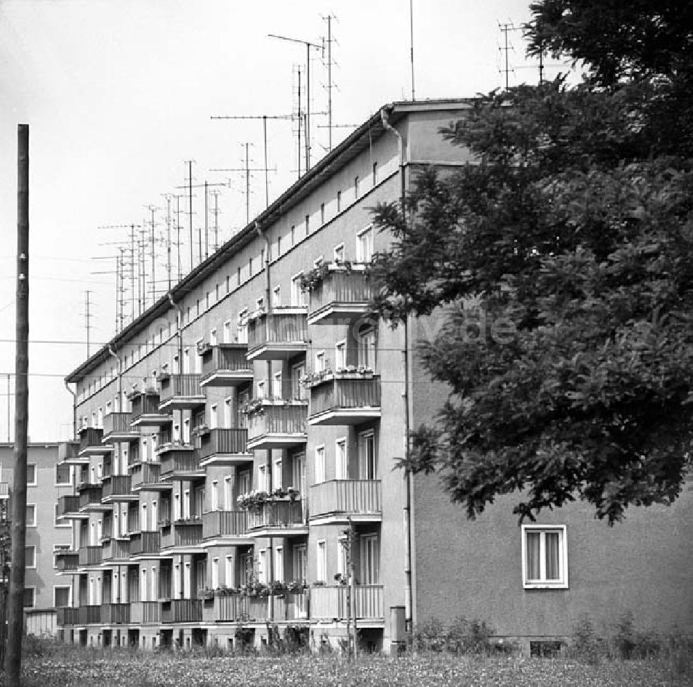 Dessau: Wohnhaus mit Fernsehantennen in der August-Bebel-Straße in Dessau Foto: Schönfeld