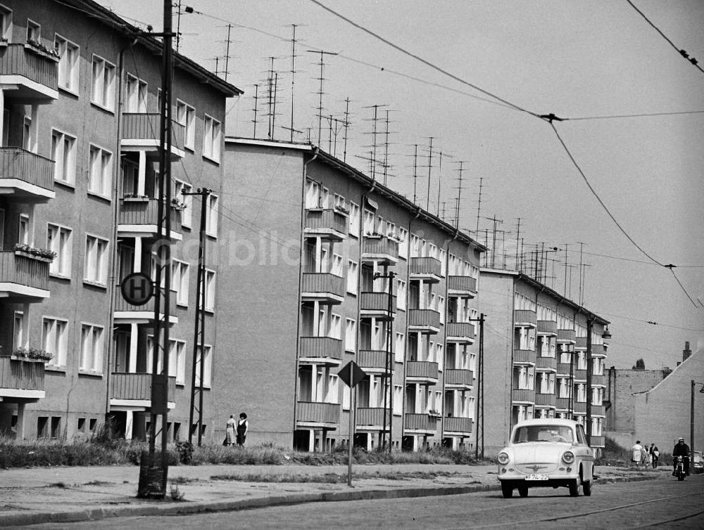 Dessau: Wohnhäuser in Dessau