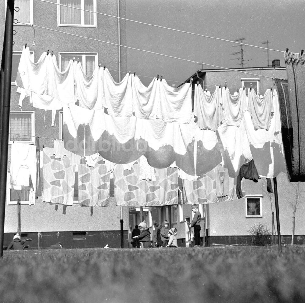 DDR-Fotoarchiv: Berlin - Wäsche hängt auf Leine in Berlin