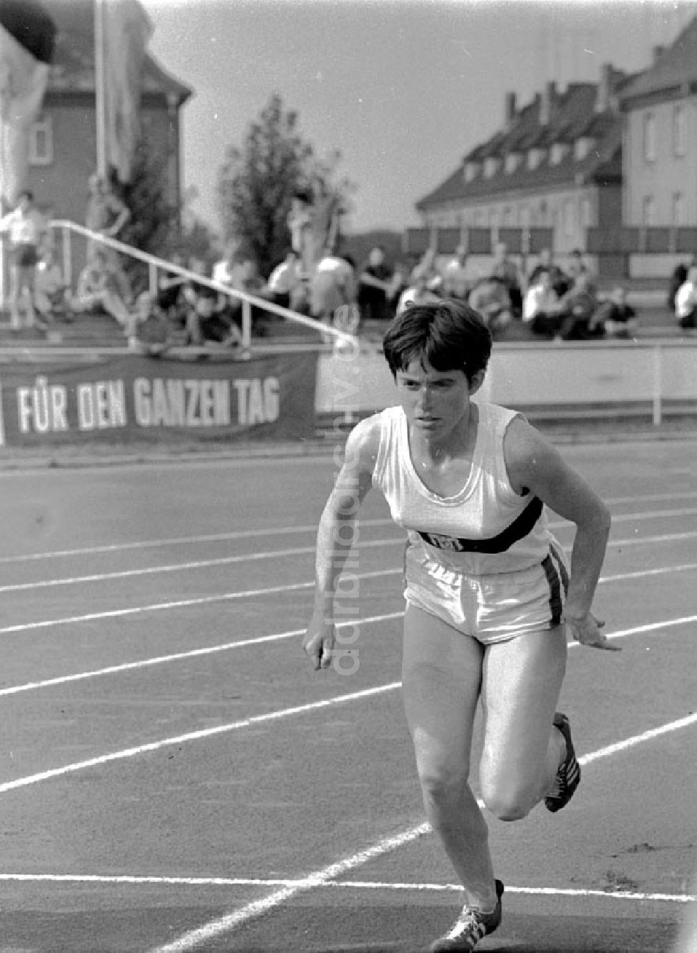 Halle: XX. Leichtathletik Meisterschaft Halle Waltraud Pöhlitz, 800m (10 Kampf) Foto unbekannt