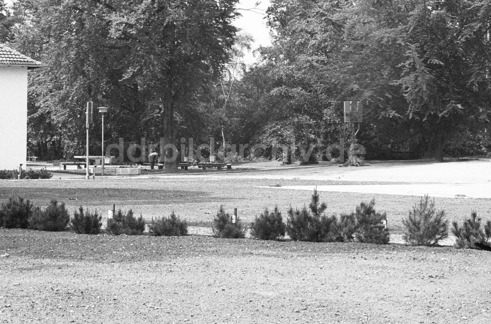 DDR-Fotoarchiv: Joachimsthal - Zentraler Festplatz auf dem Gelände der Pionierrepublik Wilhelm Pieck am Werbellinsee in Joachimsthal in Brandenburg in der DDR