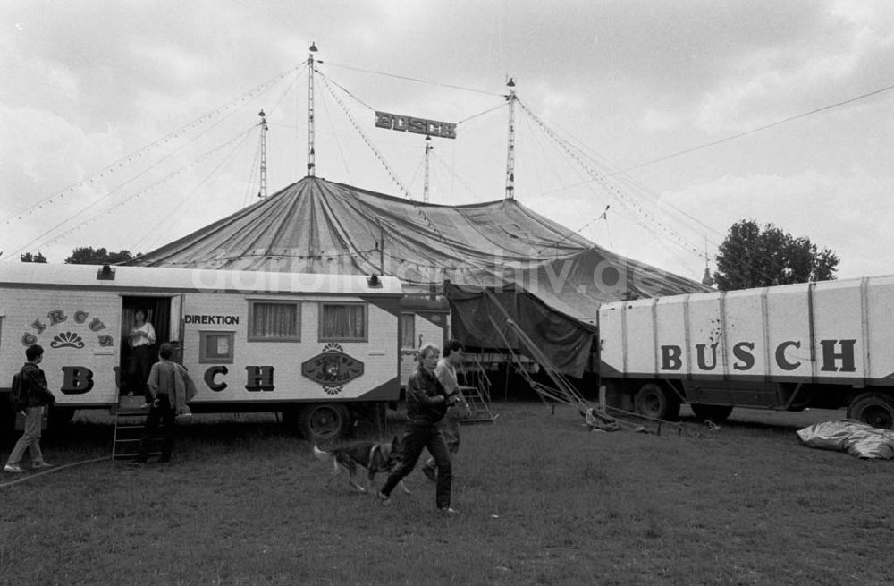 DDR-Fotoarchiv: - Zirkus Busch baut Zelt auf 04.07.90 Foto: Winkler Umschlagnummer: 893