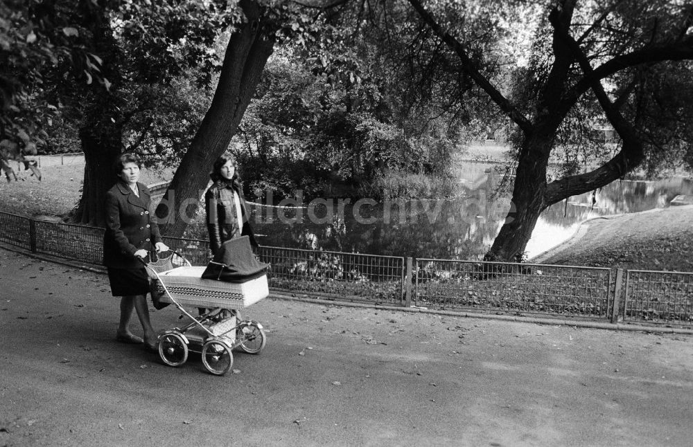 DDR-Bildarchiv: Berlin - Zwei Frauen gehen mit einem Kinderwagen in einem Park spazieren in Berlin, der ehemaligen Hauptstadt der DDR, Deutsche Demokratische Republik